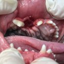 으뜸원동물병원 이미지