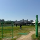 다목적광장2 이미지