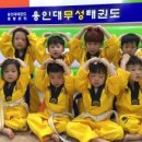 용인대 명성 태권도 이미지