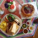 아콘트리 이미지