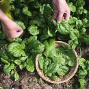 남해-300 이미지