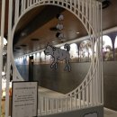 호호당구장 이미지