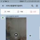 서부산동물메디컬센터 이미지