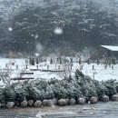 해돋이카페 - 울주군 간절곶해안길 3 | 해돋이카페