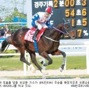 코리안목장 이미지