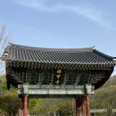 영광 불갑산 등산 최단코스 후기(난이도,소요시간,칼로리)