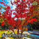 종달새어린이공원 네이버블로그