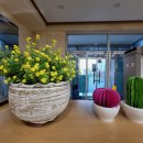 영랑작은도서관 이미지