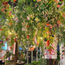 그꽃카페 이미지