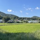 안희중 효자정문 이미지