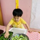 오이 소박이🥒 이미지