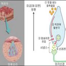 안승열의 명리학 다가가기 08 | 어떤 맛에 음기가 들었을까, 양기가 든 맛은? 이미지