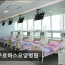 파주로하스요양병원 이미지