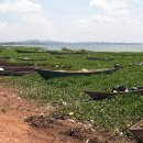 정화발전소 이미지