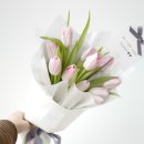 mercierfleur메르시에플레르