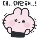 살롱 드 뷰티