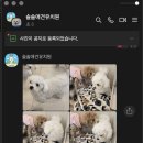 서울역촌유치원 이미지