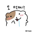 쌍다리돼지불백 양재점 이미지