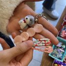 포레스트 컴퍼니 이미지