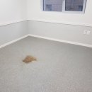 THE 하얀클린 이미지