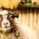 갈마1동행정복지센터 이미지