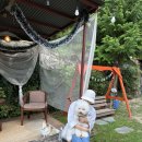 해피데이애견 | 경주 애견동반숙소 애견펜션 강아지 수영장이 있는 해피데이해피독