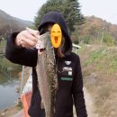 승안낚시터 | [ 민물 ] 송어의 계절이 왔습니다/원주 &#39;승안낚시터&#39; 다녀왔네요