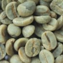 산토스커피(SANTOS COFFEE) 이미지