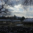 교수댁 민박 이미지