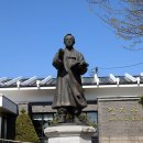 죽향초등학교 이미지