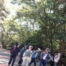 선운산악회 정기산행(제289차} 이미지