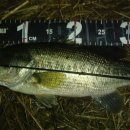 청도천10 이미지