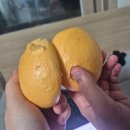 조양로151번길 이미지