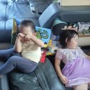 칠복농장 이미지