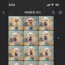 어여쁘개 이미지