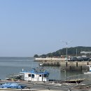 대장금마실길(5코스) | 전북 가볼만한곳 부안 샤스타데이지 명소 변산 마실길 2코스