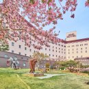 코오롱호텔 이미지