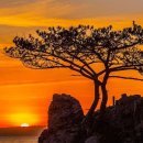 마음다짐 이미지