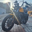 [인천 연수] 할리데이비슨/ 아이언 883 이미지