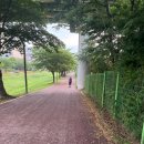 런데이 더하기 플랜 2회차 간단 후기 / 건강한 다이어트 ㄱㄱㄱ