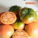 건양유통 이미지