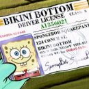 주정차010 | 2종보통 | 신현대운전면허학원 필기, 기능, 도로주행 후기 | 2주 만에 운전면허 취득