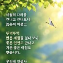 自尊心(pride)과 自尊感(Dignity) 이미지