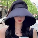 포니어 이미지