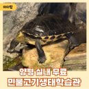 민들레자원 | 양평 경기도민물고기생태학습관 5살 16개월 아이와 방문후기
