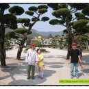 백수초등학교 이미지