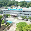 진안 인삼재배 문화 이미지