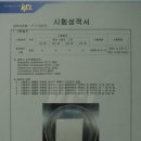 월드탄성 이미지