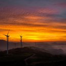 여명목장 이미지