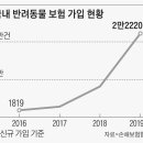 세우리동물병원 이미지